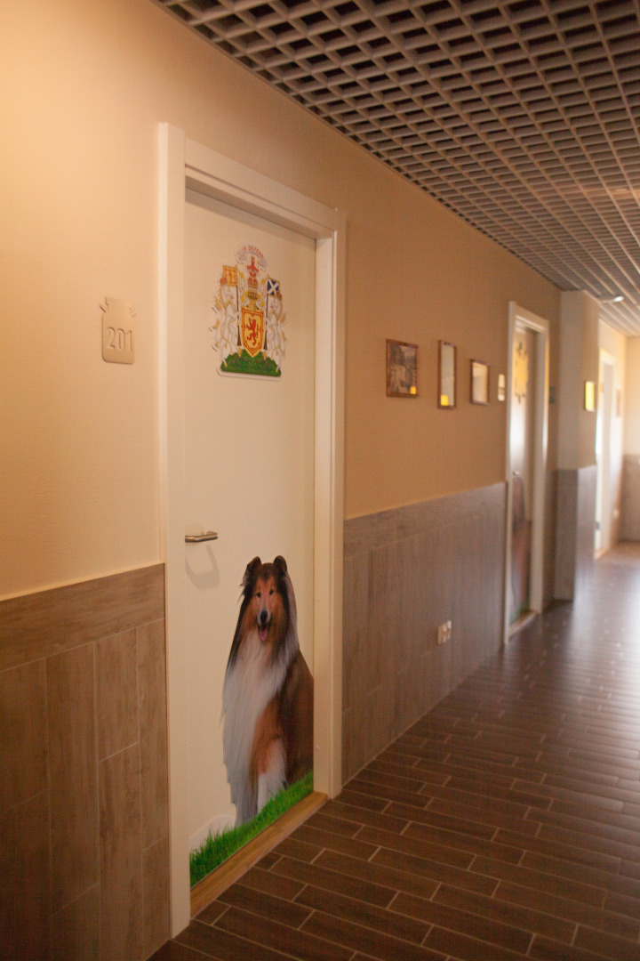 Мини-Отель Вокзал Кострома Сырная