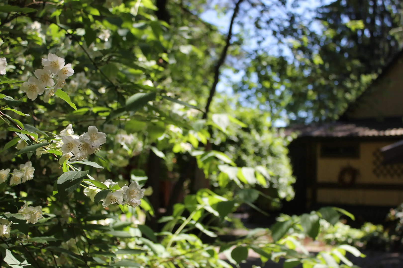 Гостевой дом Гостевой домик "Бунгало"