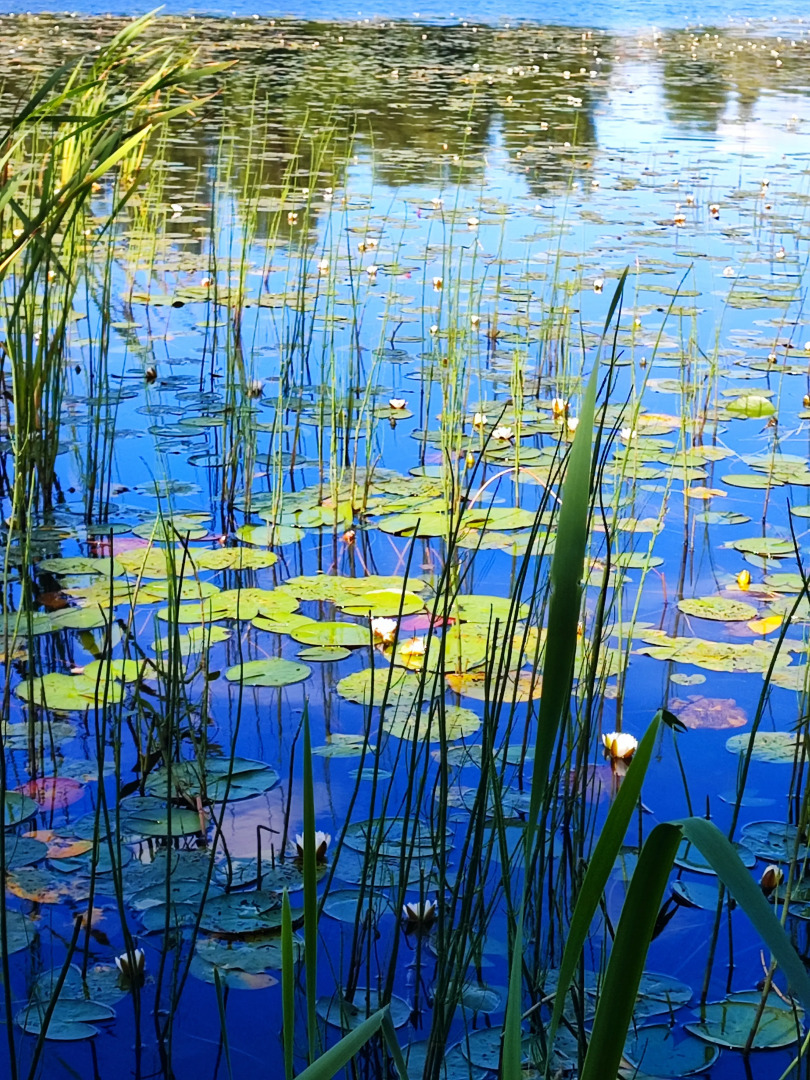 Частный дом у озера