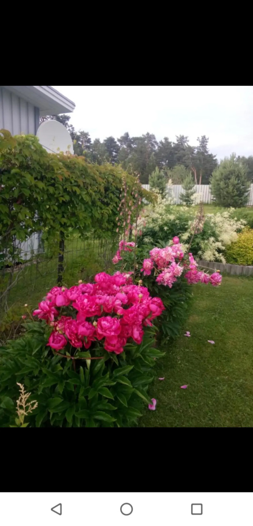 Riekkalansaari vacation home Guest House