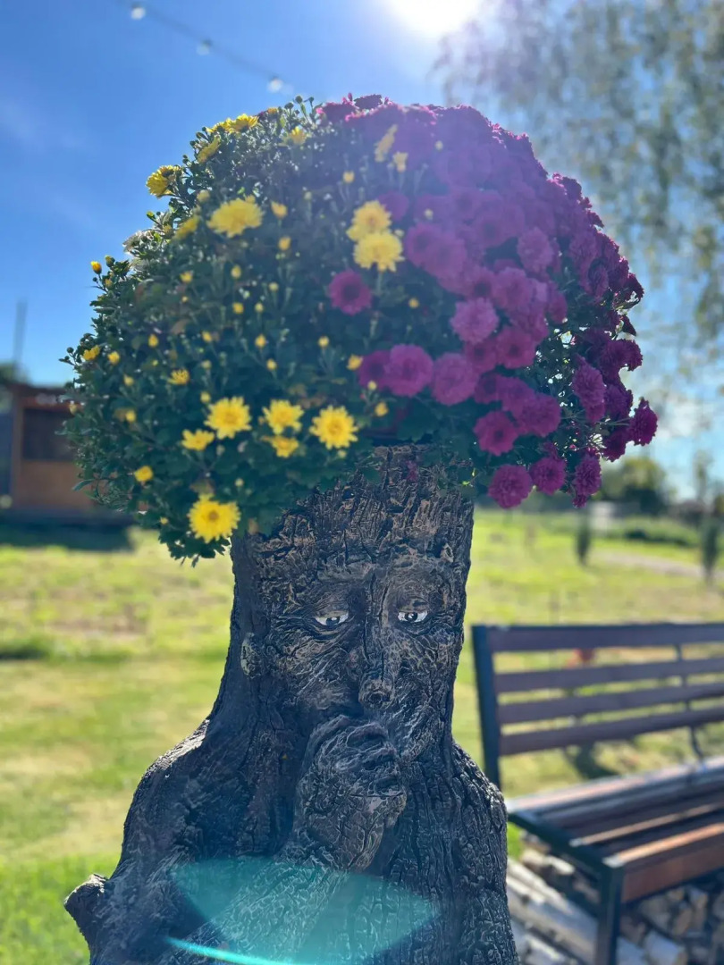 Частный дом Эко Лаптево