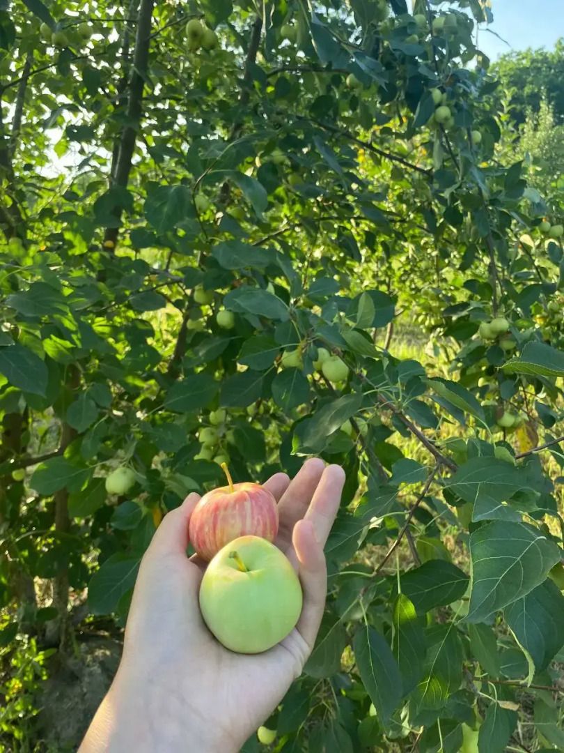 База отдыха Синегорье