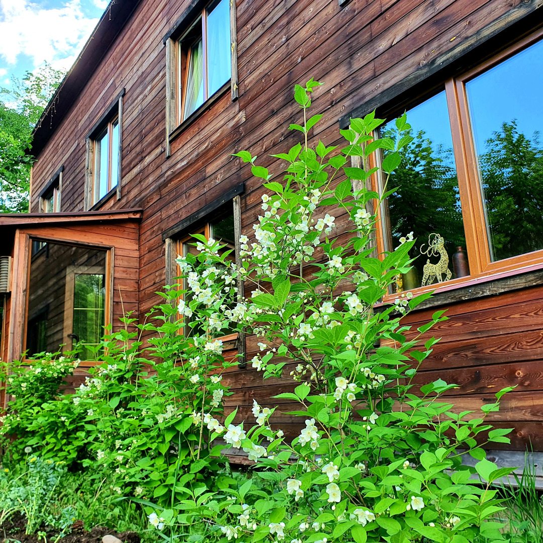 Gostevoy Dom Maori-Lukyyanovka