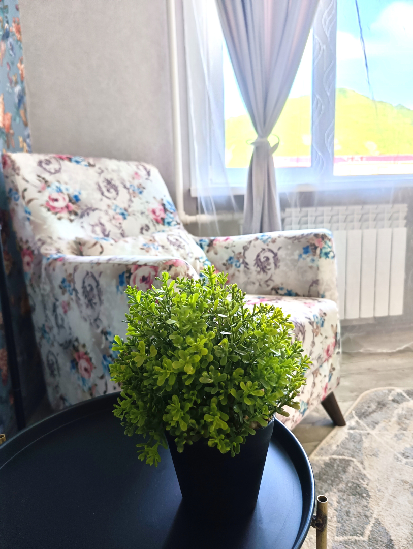 Апартаменты Вид на Сивучей