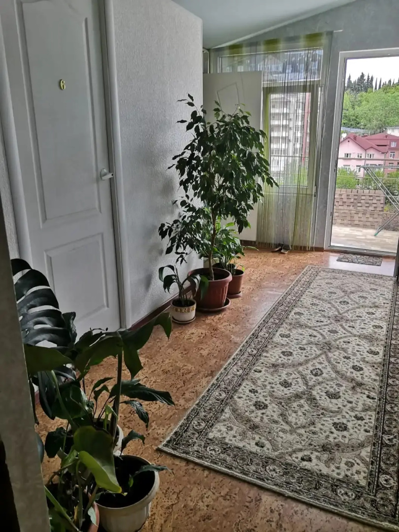 Гостевой дом Мини Пансион Сочи