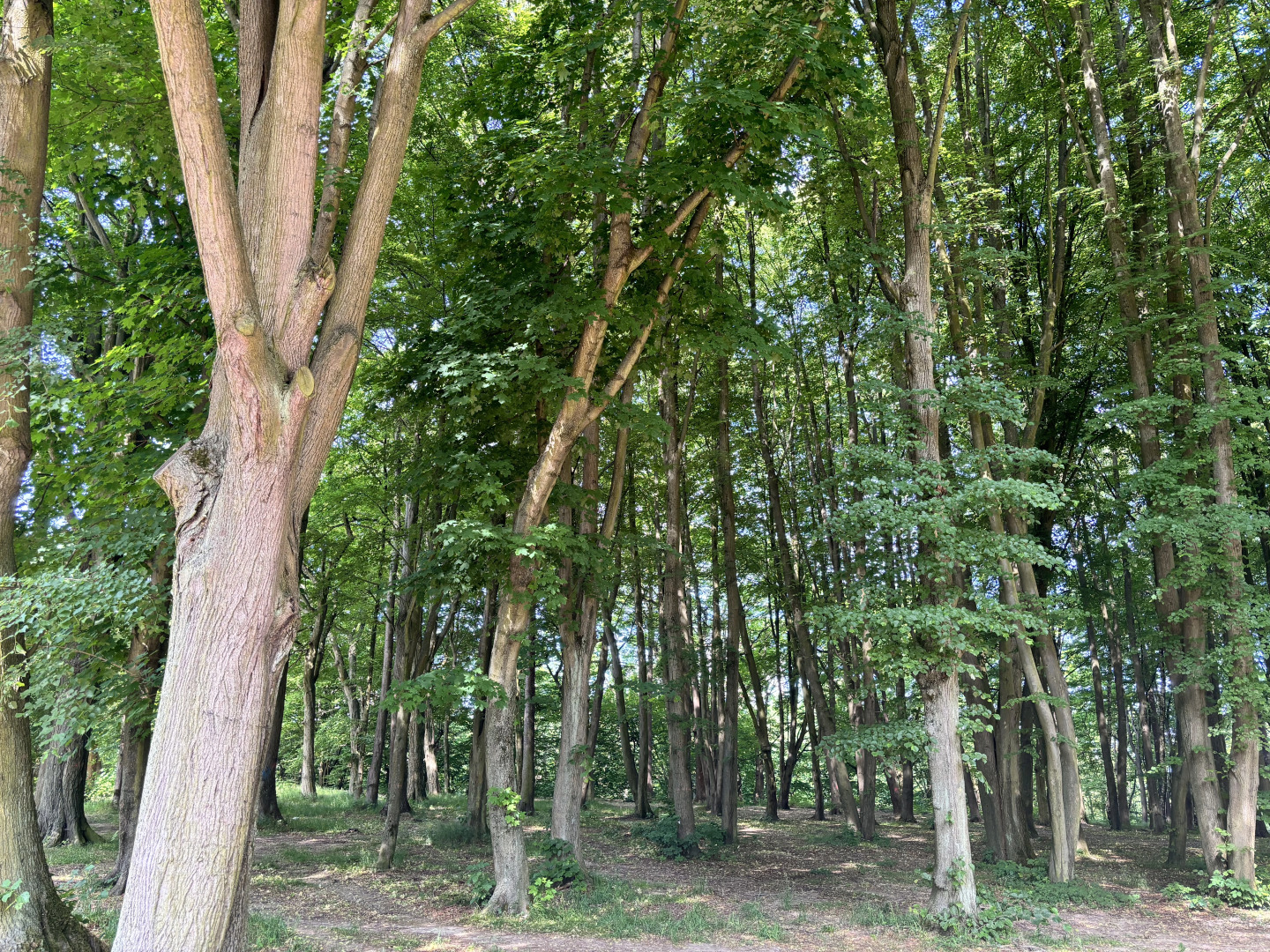 Квартира Уютная в немецком  доме возле моря