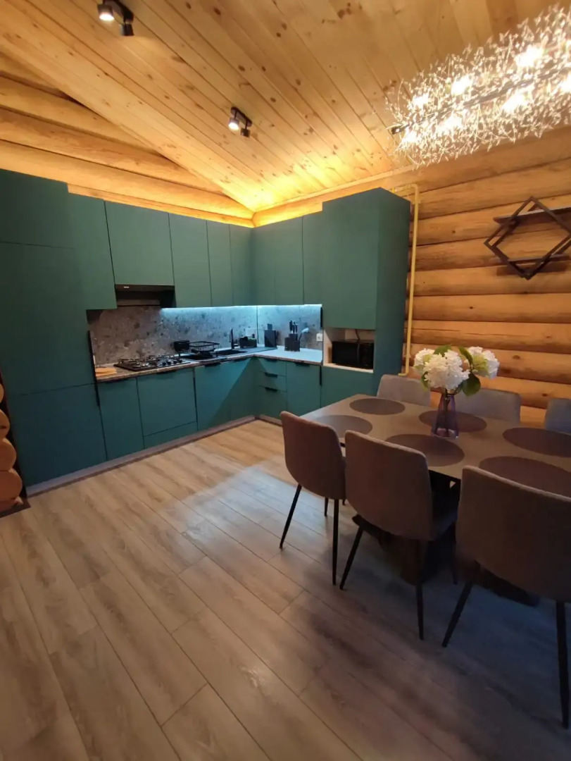 Частный дом в поселке Разливы-1