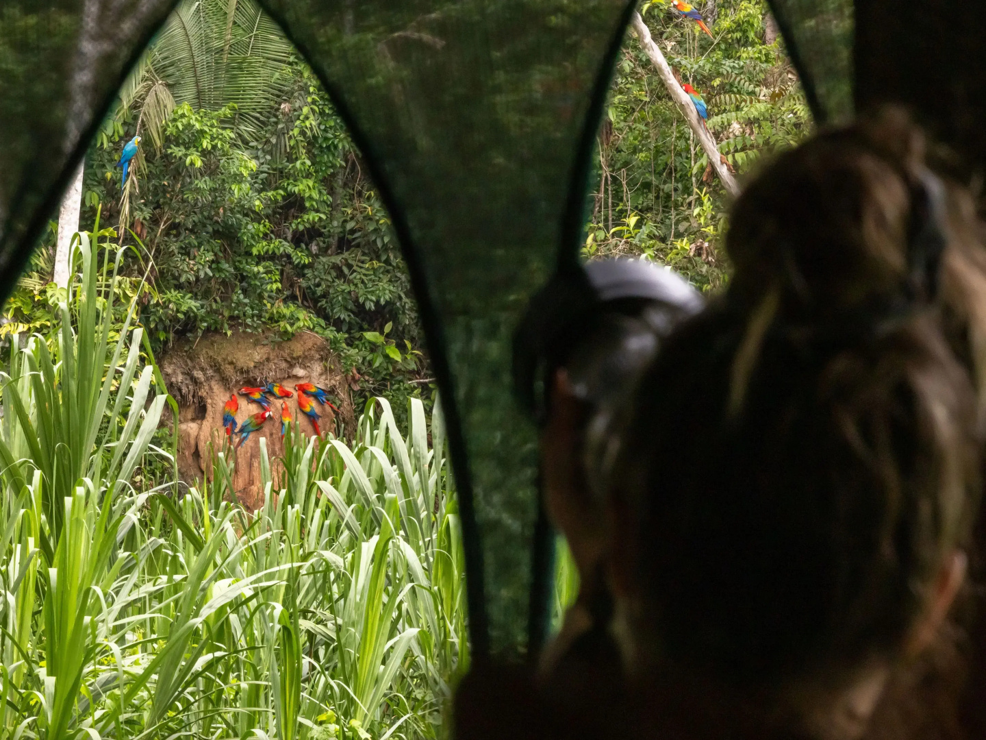Отель Refugio Amazonas