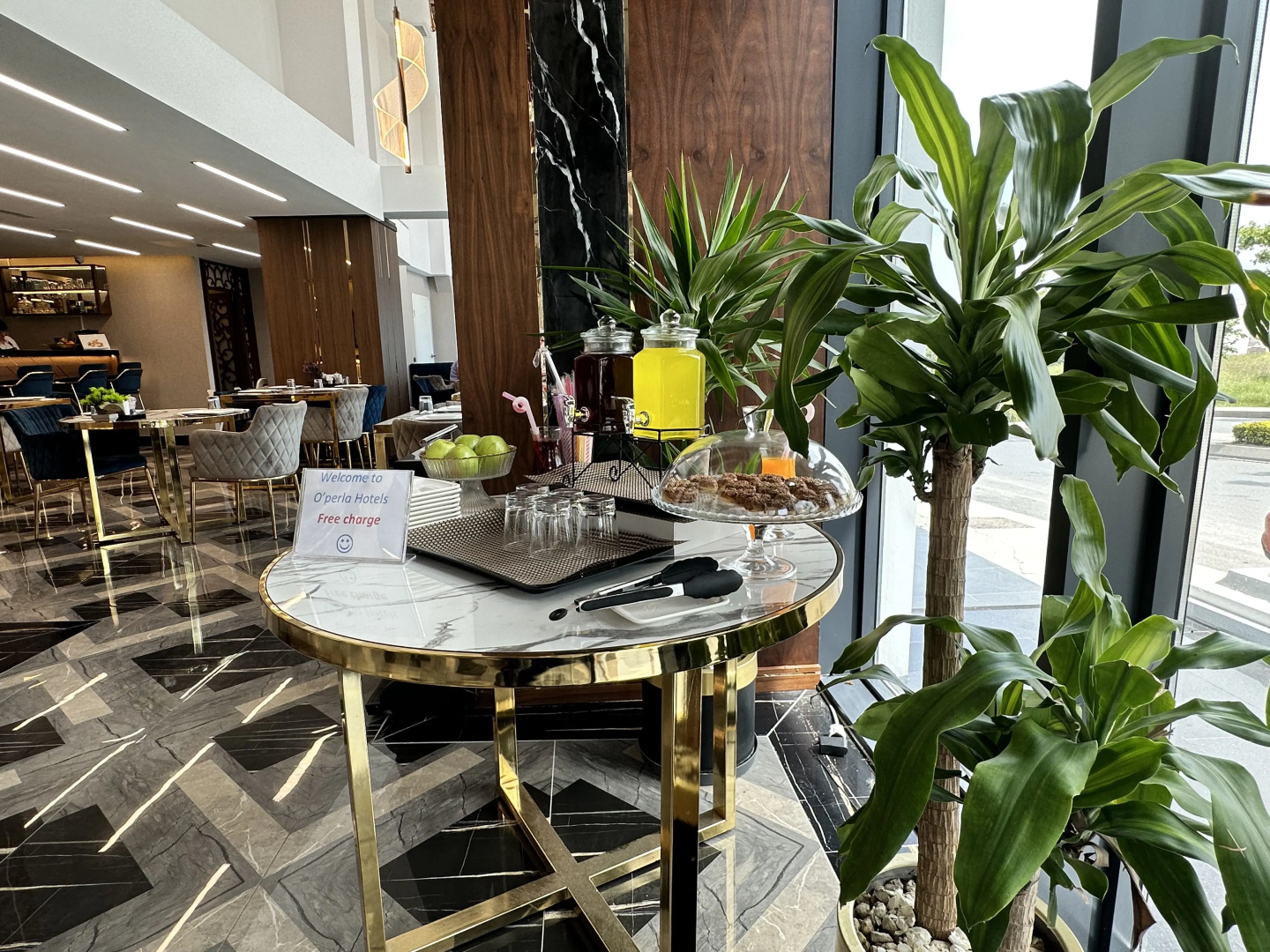 Trademark Collection by Wyndham Operla Airport Hotels