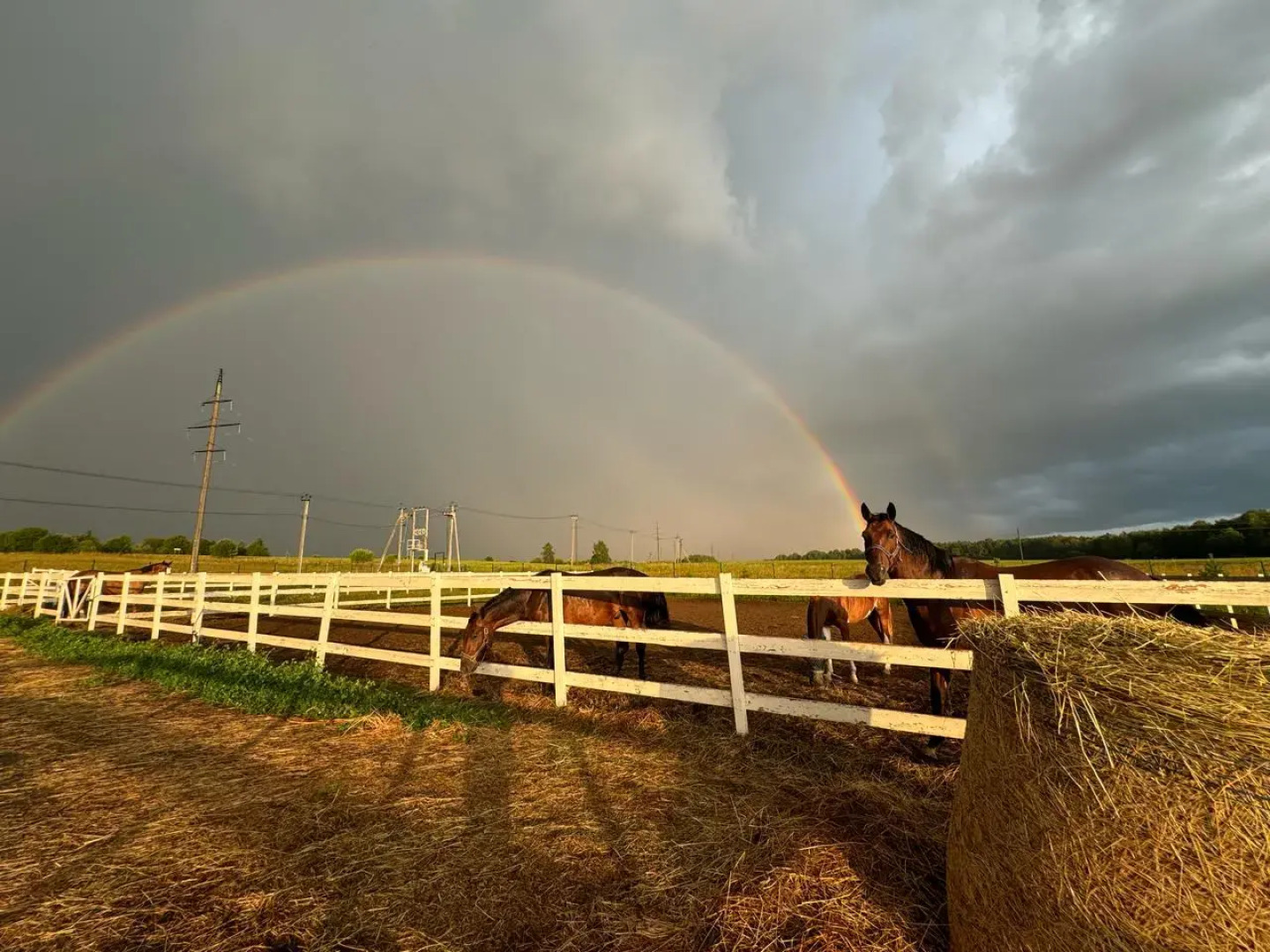 База отдыха  Ранчо