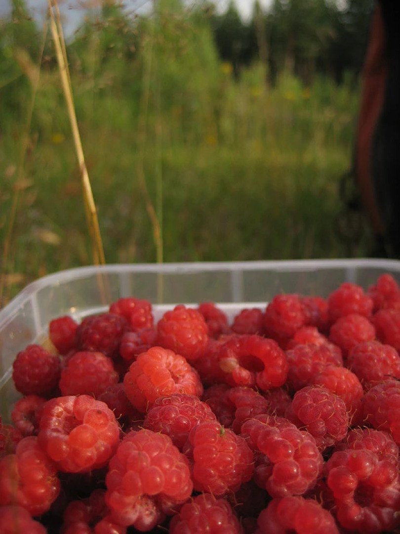 Вилла Энонтур