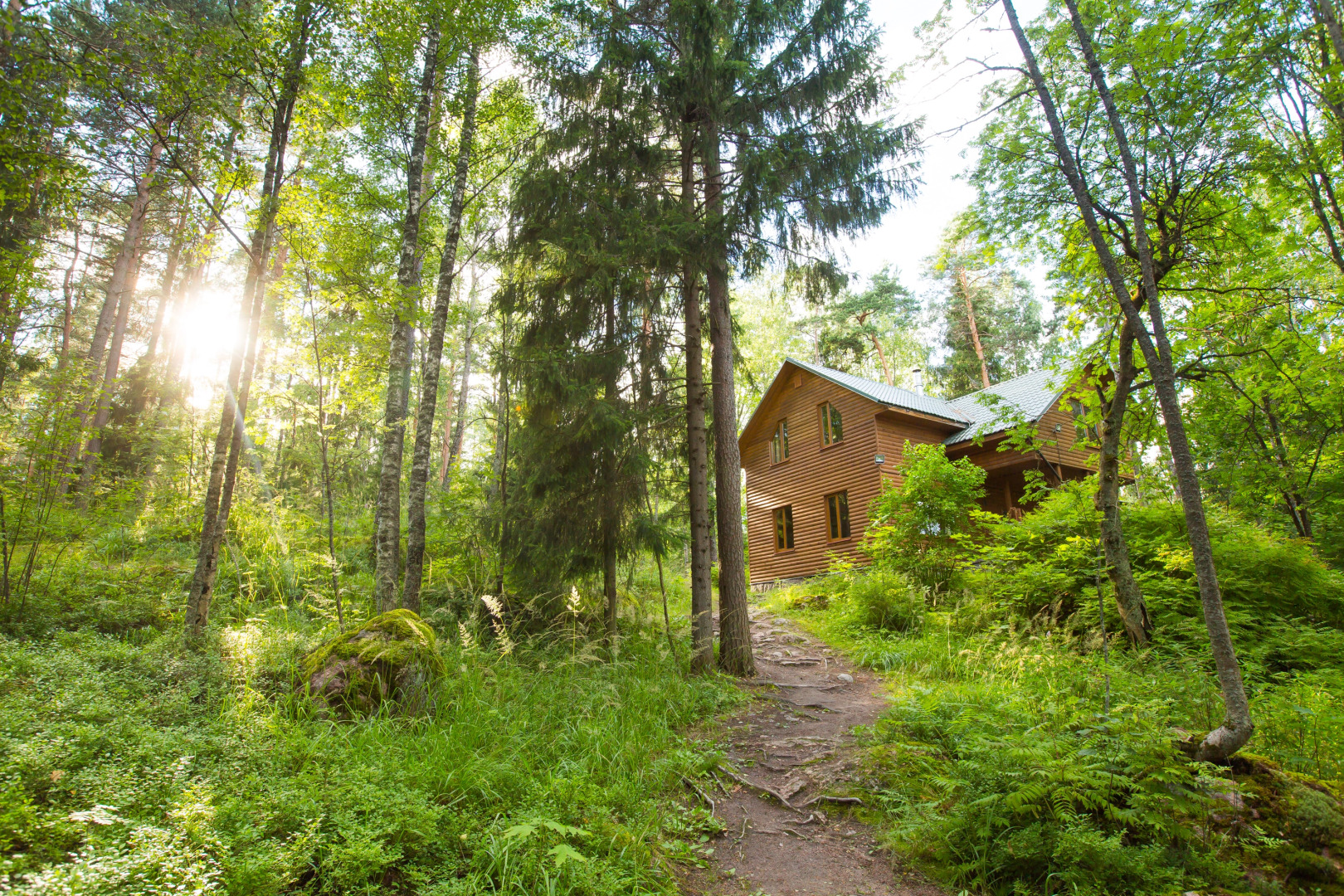 База отдыха Лесная Сказка