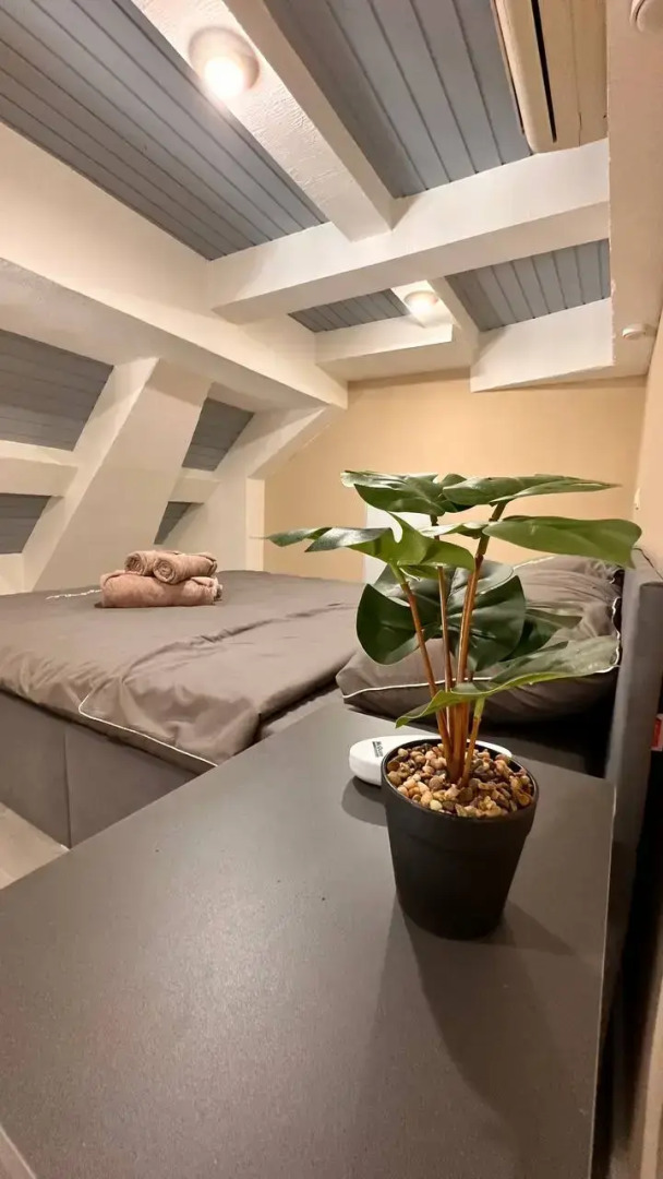 Квартира Мансарда