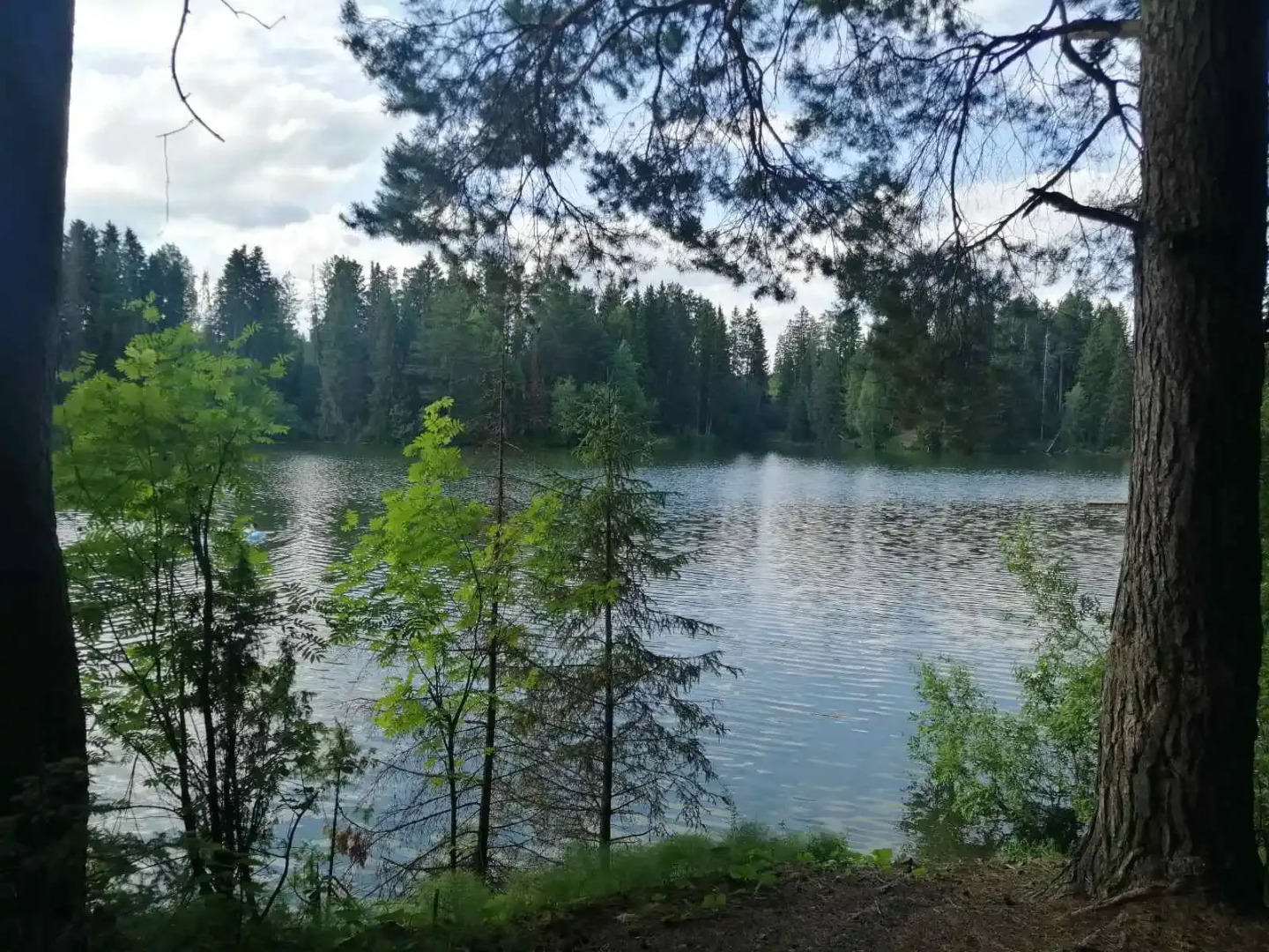 Гостевой дом Молдаванка