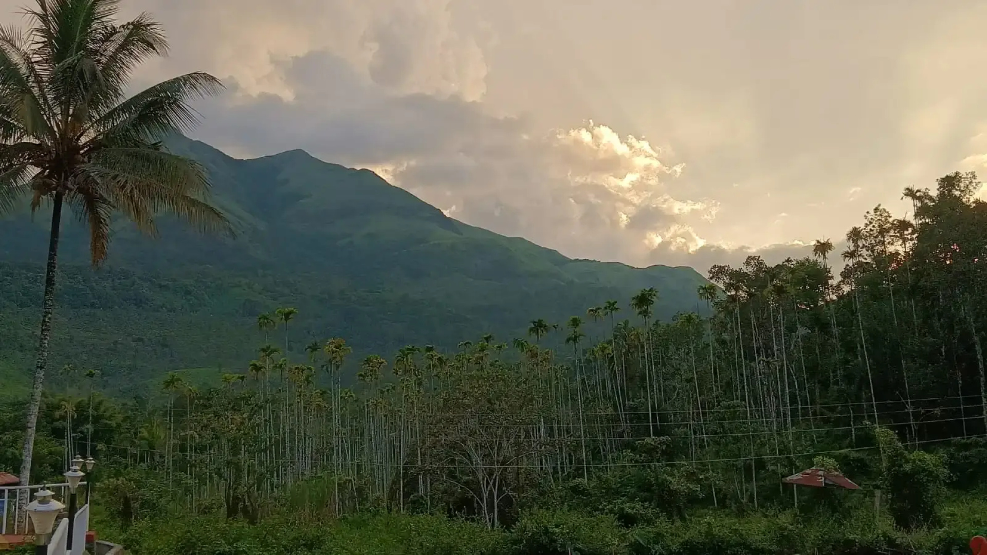 Курортный отель Jungle Valley Resort Wayanad