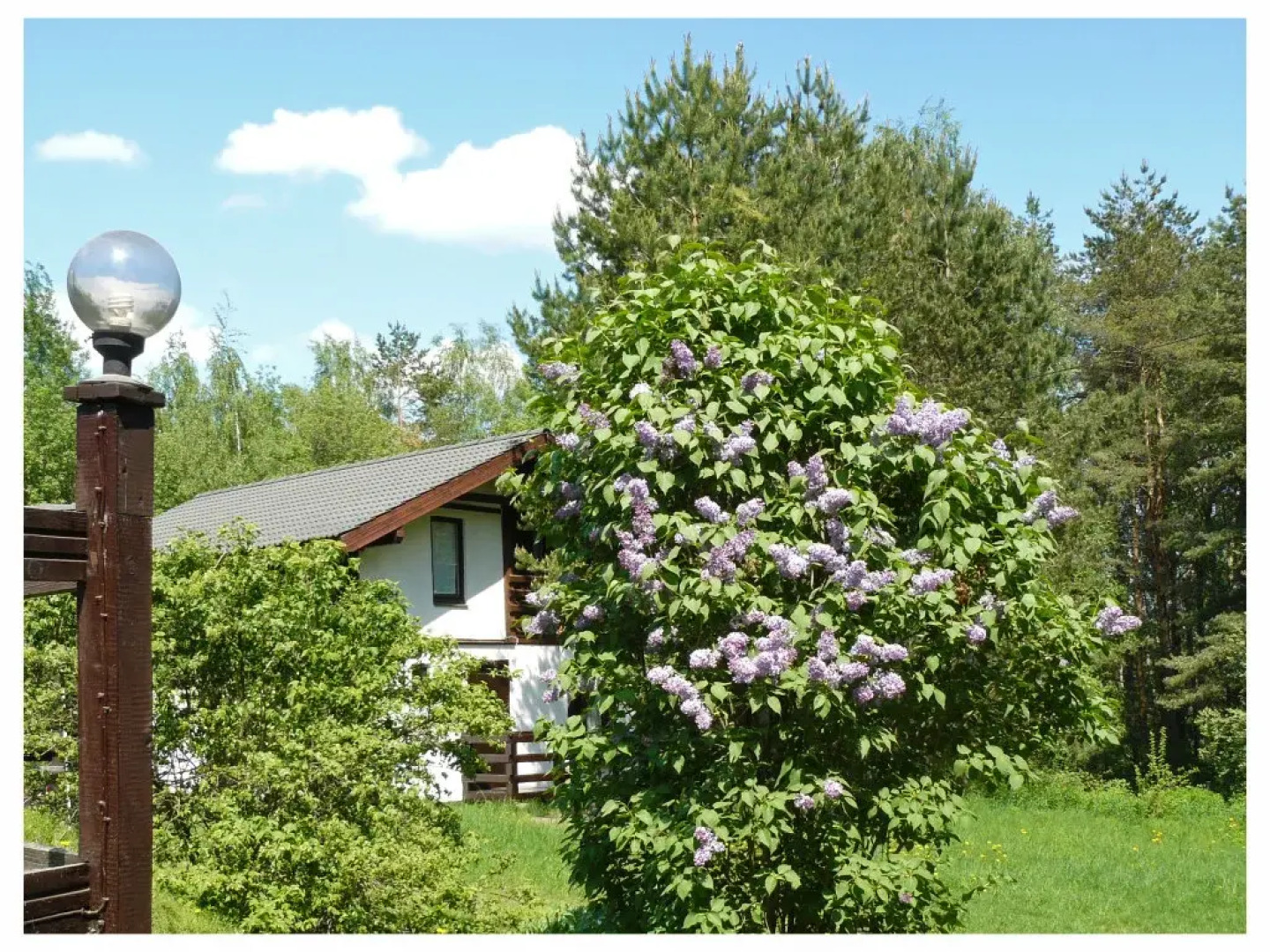 Шале Размещение с одной спальней (2+2)