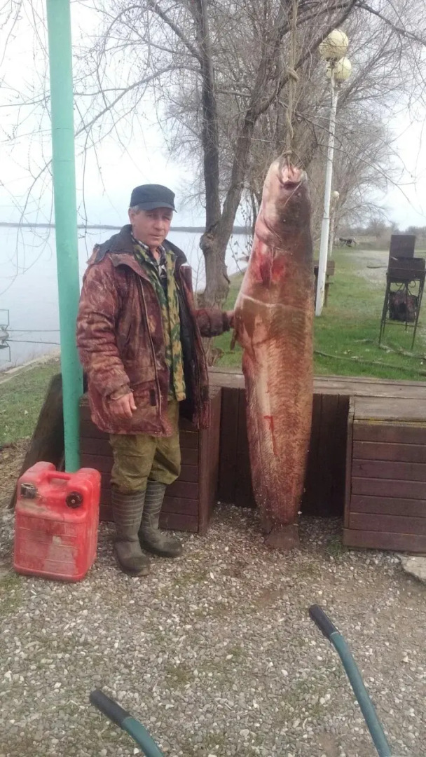 База Отдыха Найт Флайт