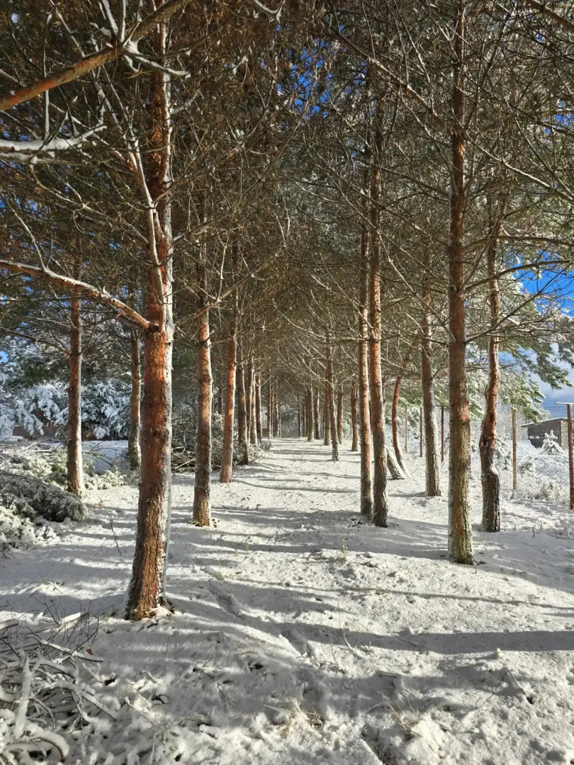 Частный дом Уница 90кв.м на первой линии озера Селигере