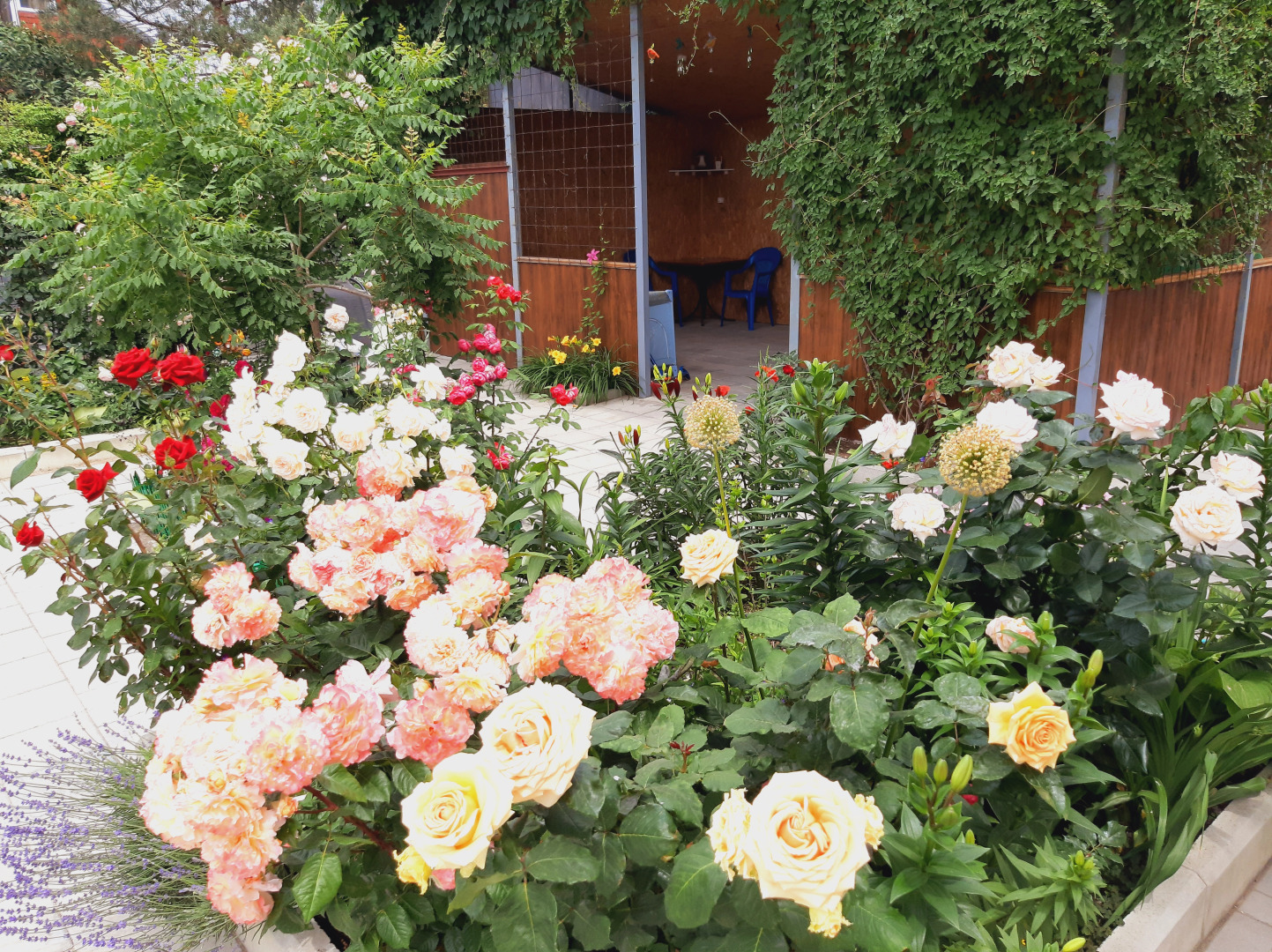 Меблированные комнаты в частном секторе