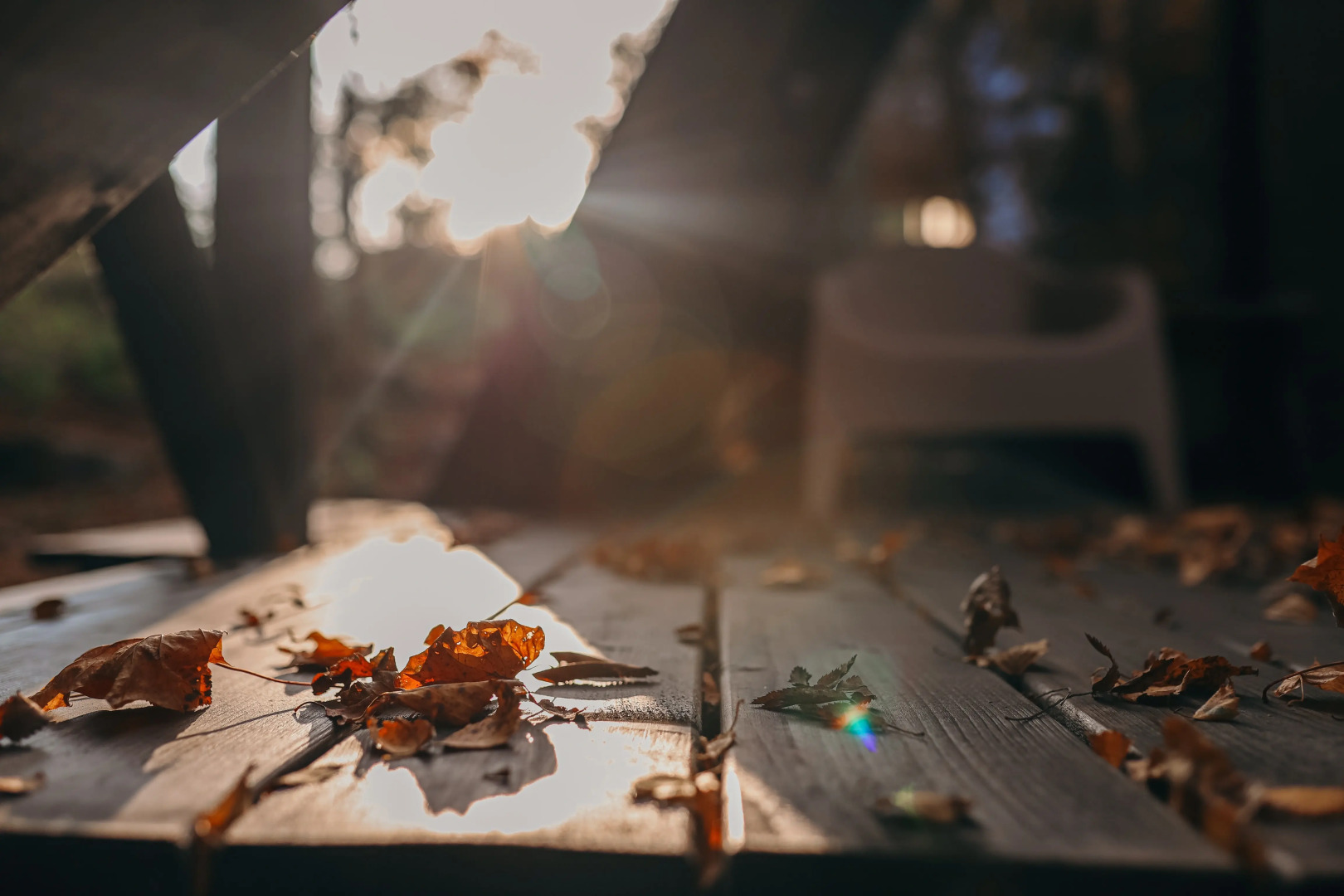 База отдыха Аккала