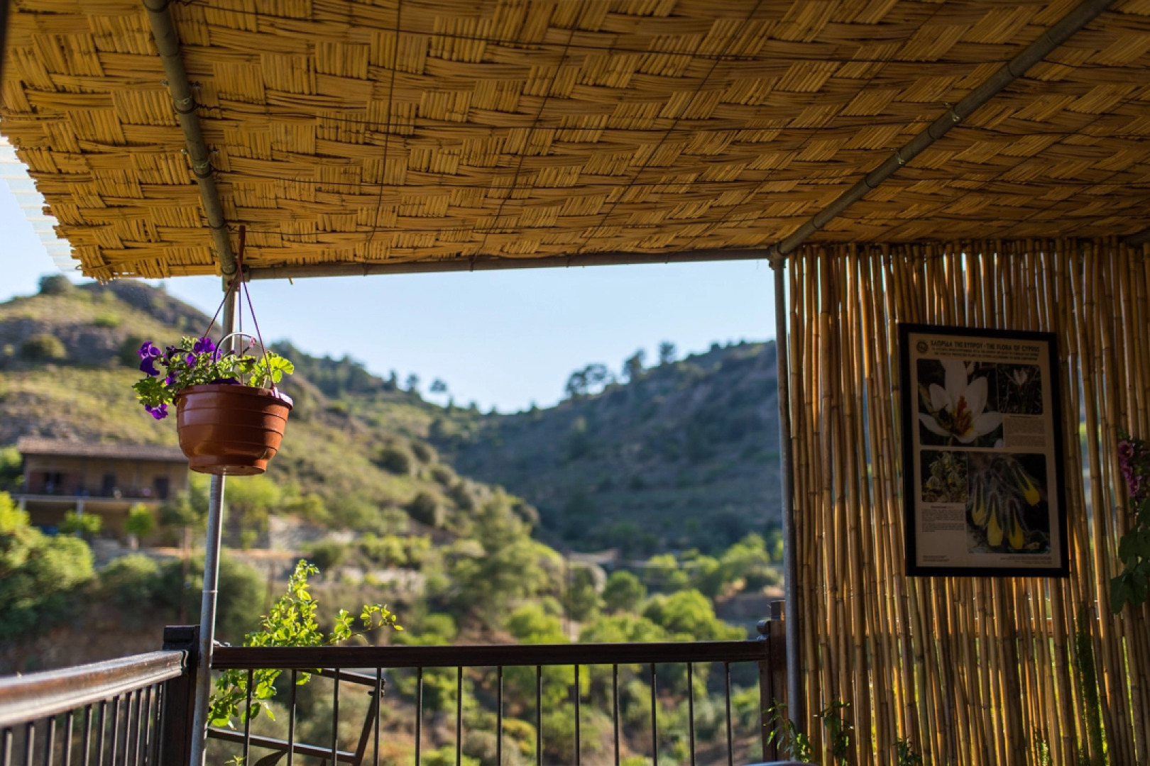 Мини-Отель Hadjikyprianou Museum Studio