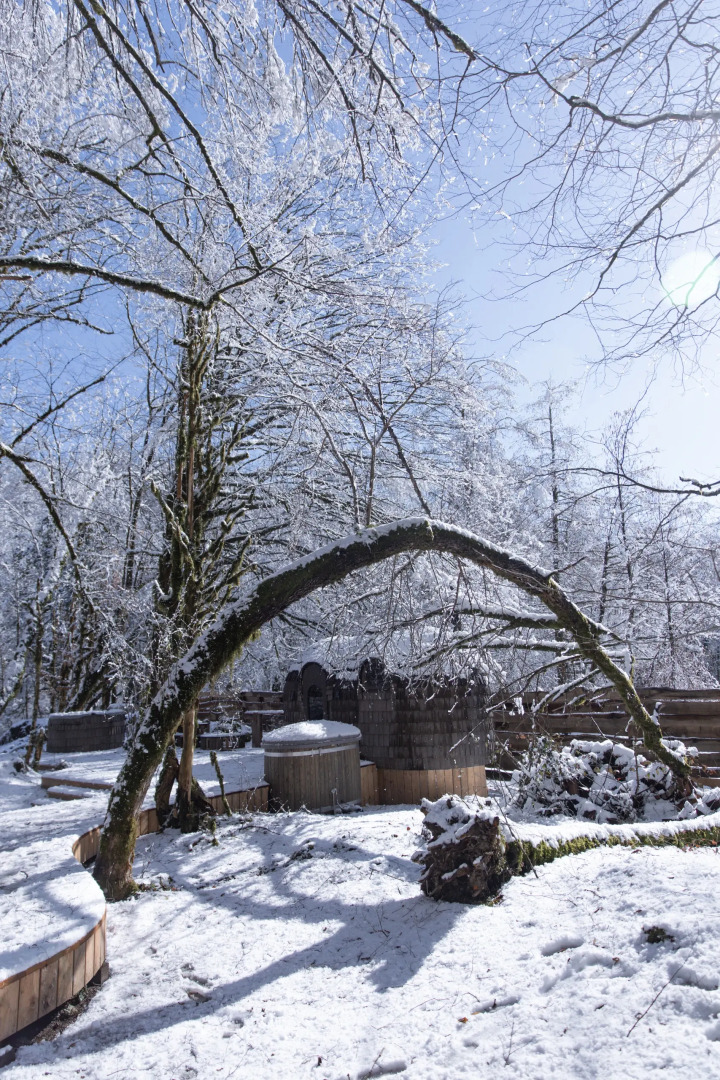 Глэмпинг Енот