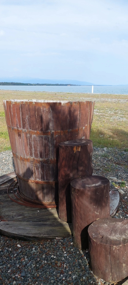 Курортный отель Сосновый Бор