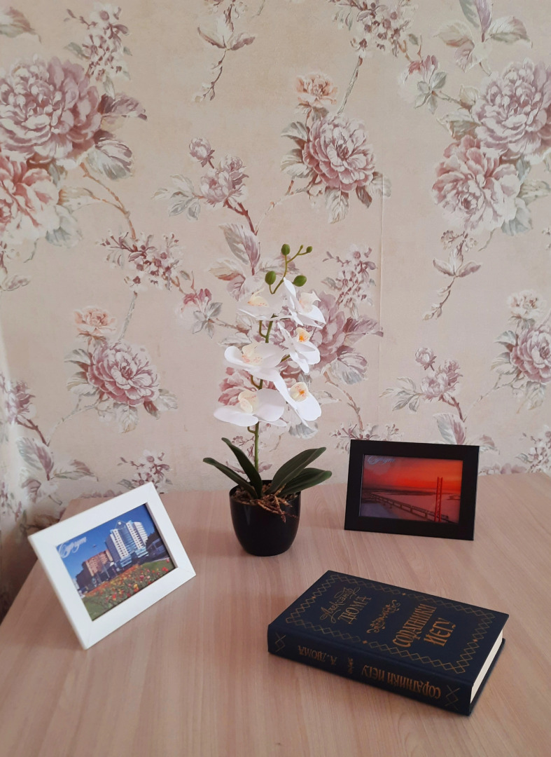 Квартира Однокомнатная на Проспекте Ленина 50