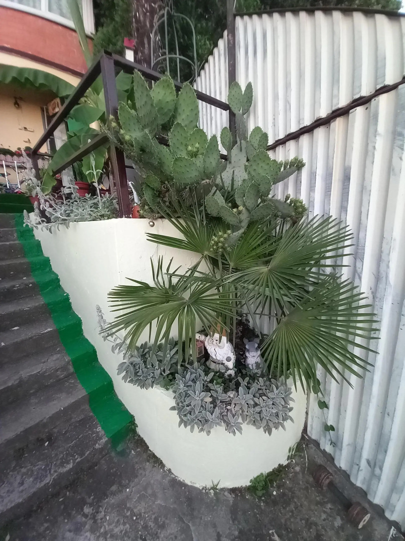 Гостевой дом Лаза