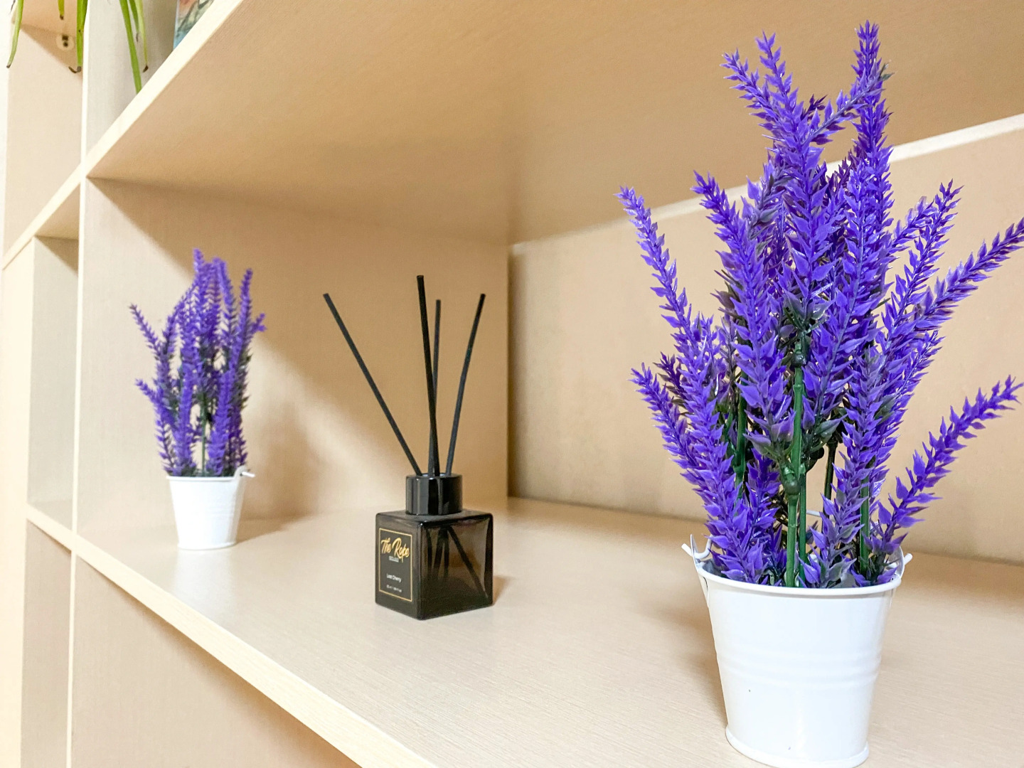 Апартаменты Счастье Жить в центре Севастополя