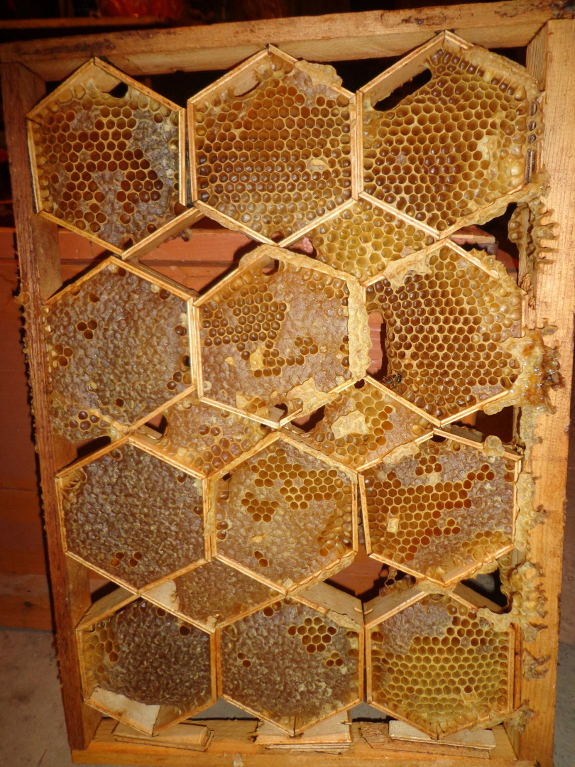 Гостевой Дом Anush`s B&B