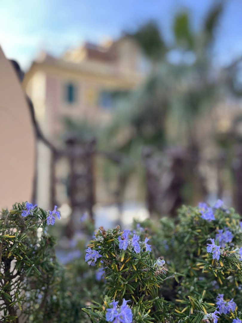 Ночлег и завтрак (B&B) Boutique B&B Barocchetto Romano Ostia Lido