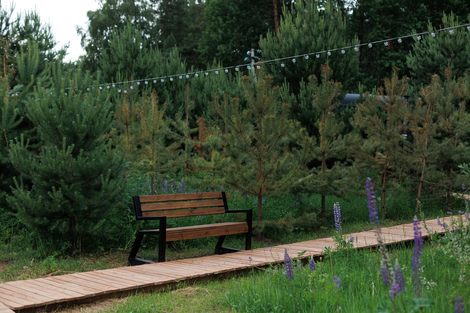 Глэмпинг Хвоя