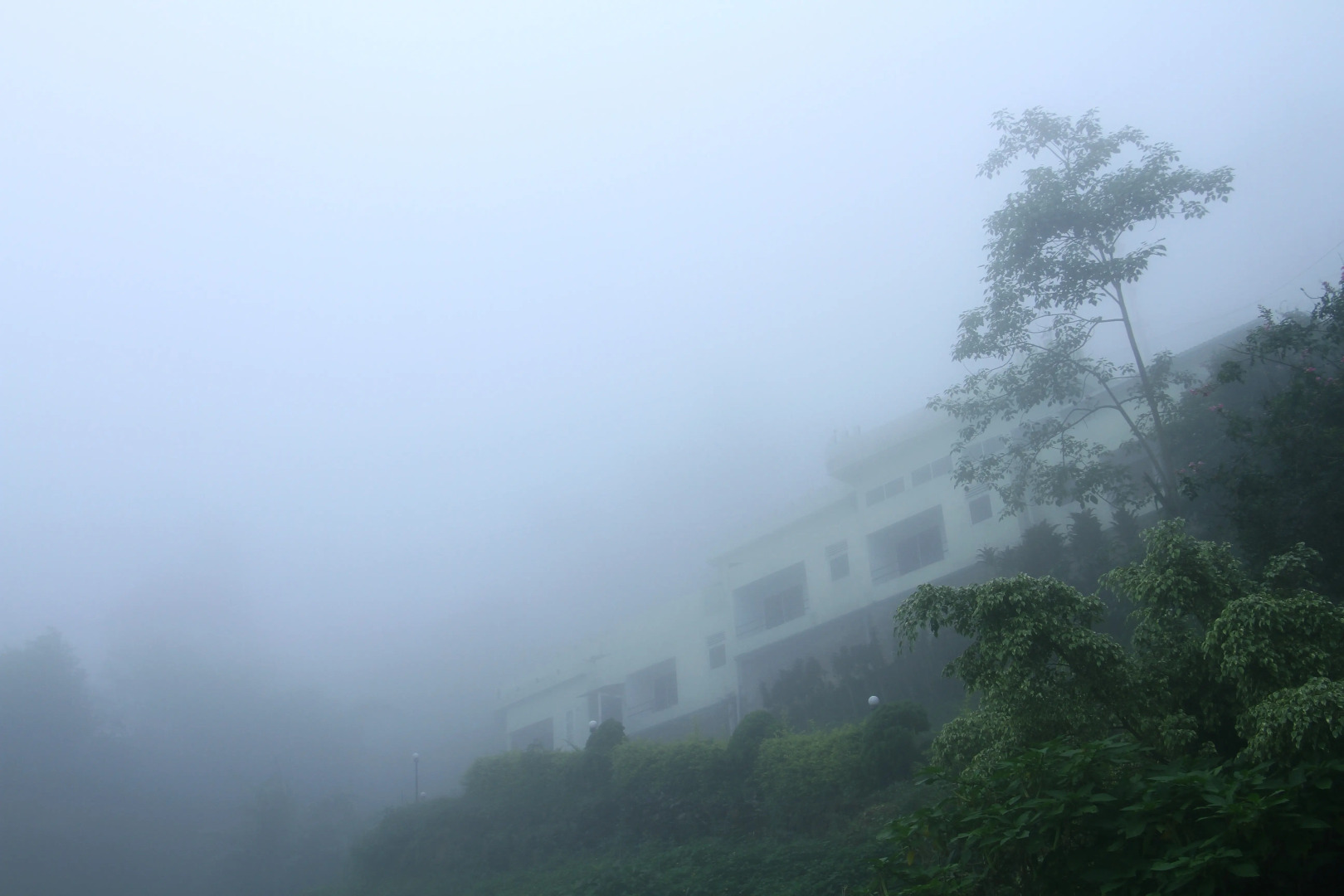 Отель Blackwood