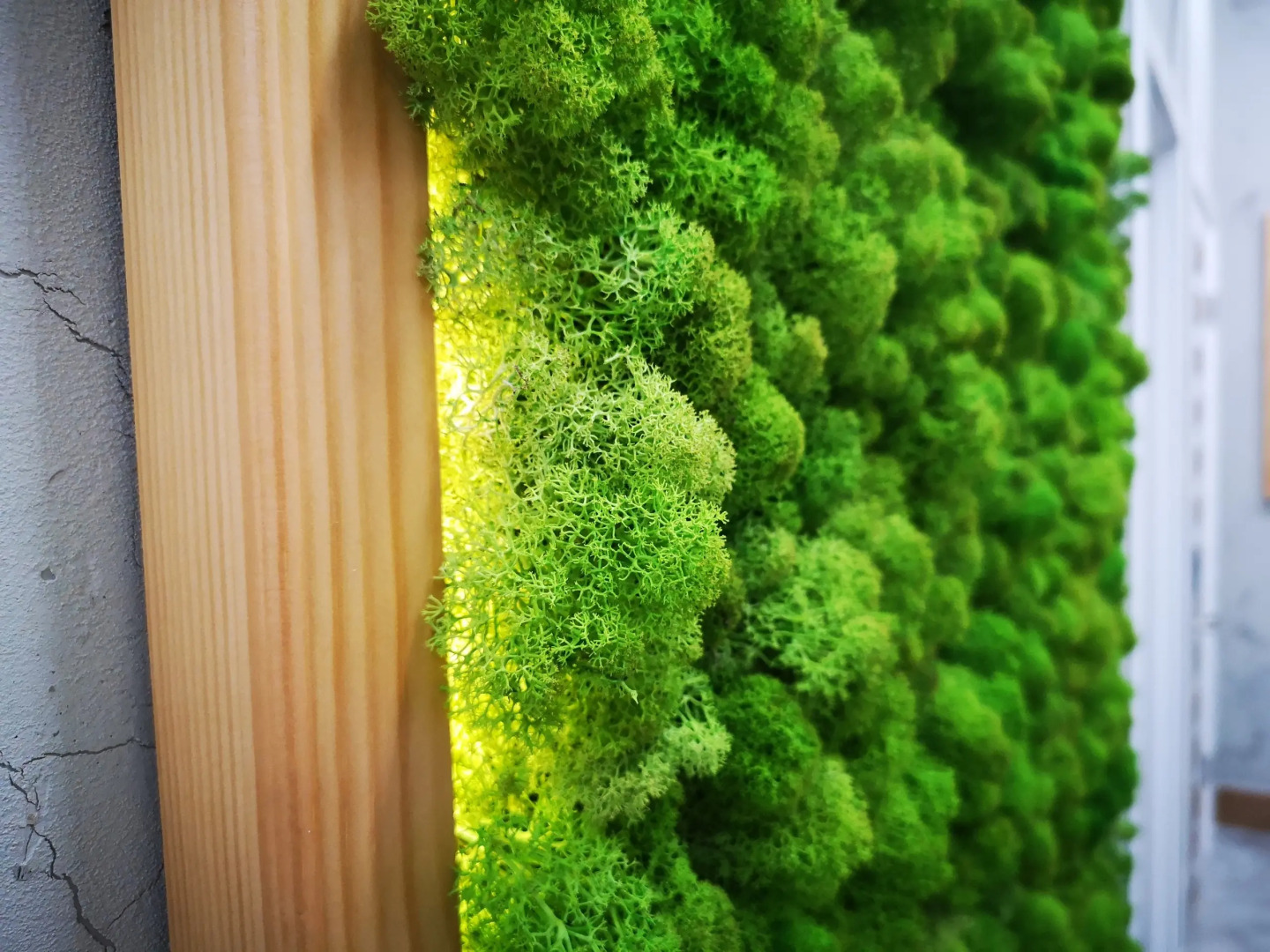 Отель Никольская Гавань