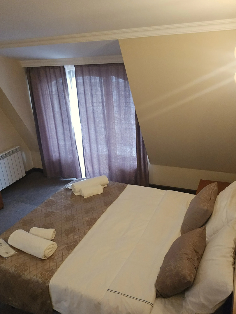 Отель Ritsa Hotel