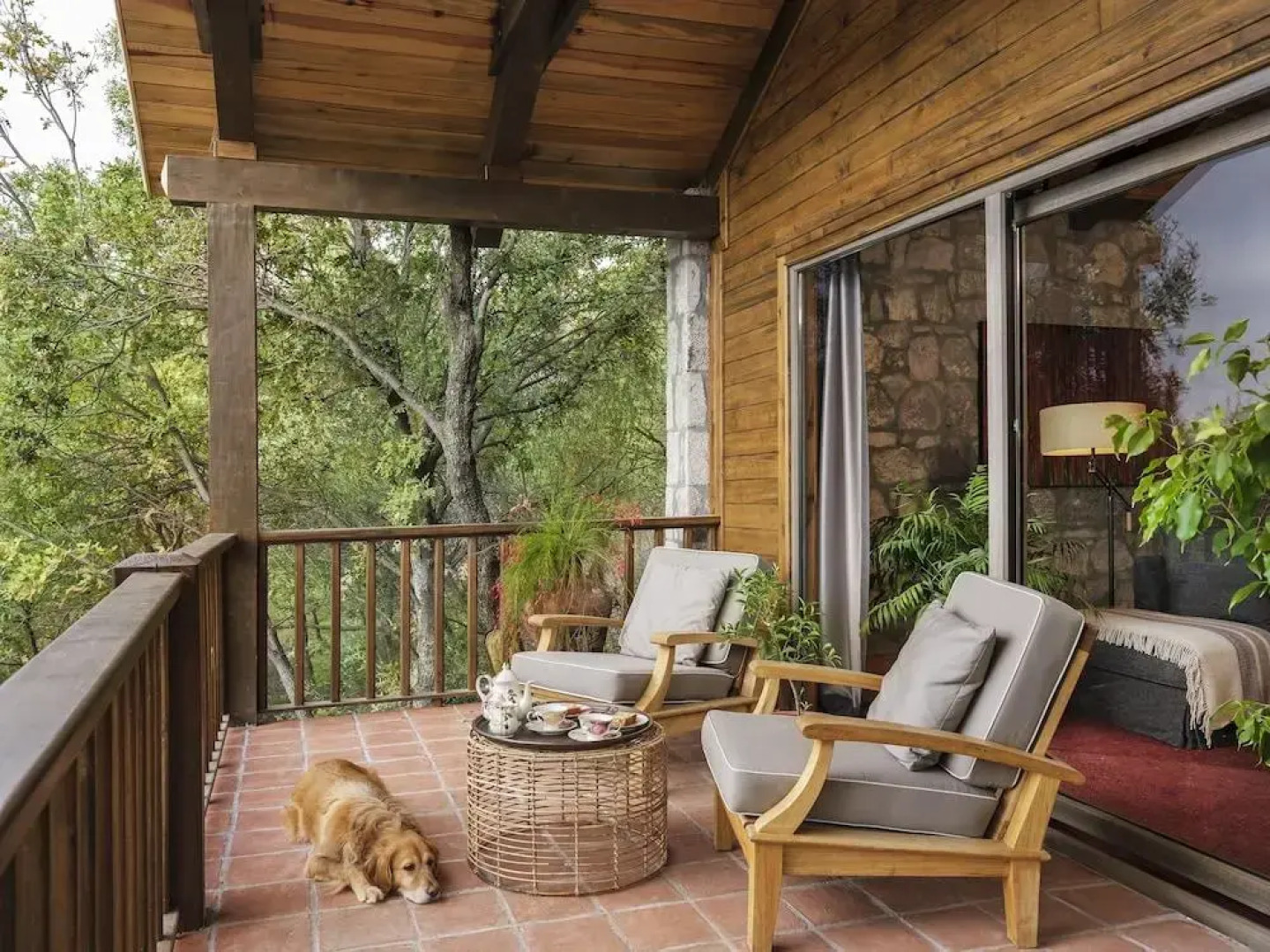 Отель Simurg Inn