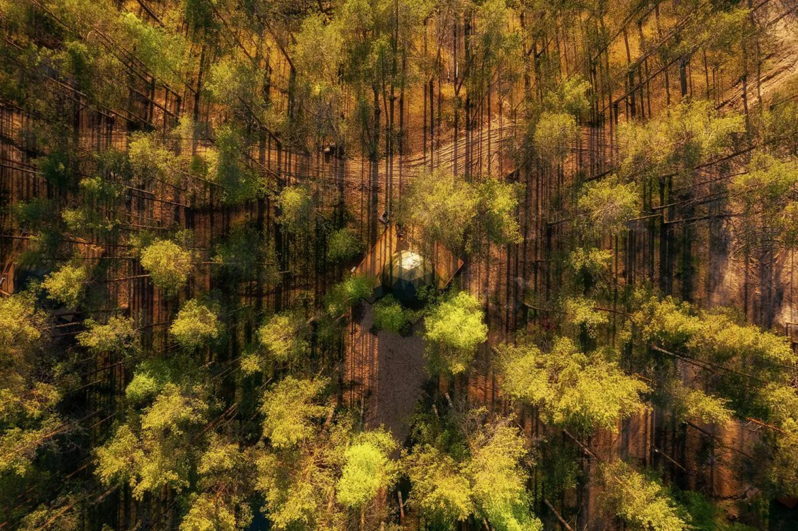 База отдыха Forest Lake
