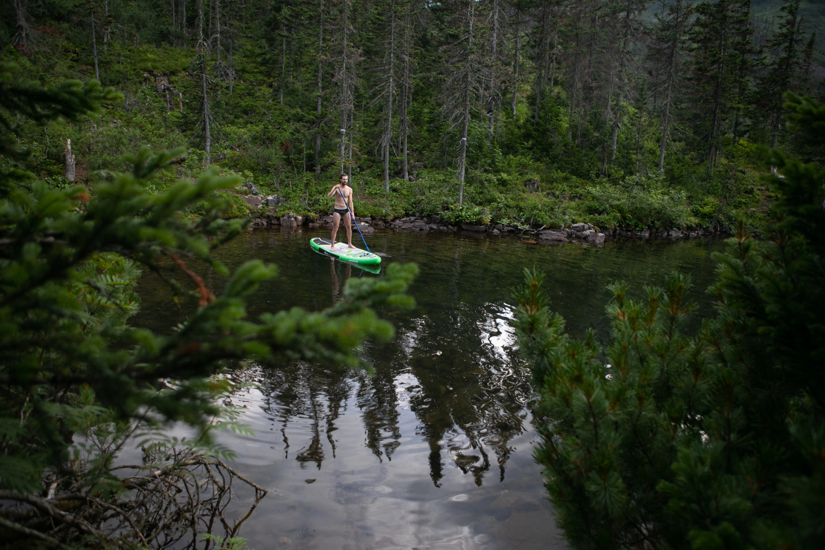 Шале Zvezda Mamaya