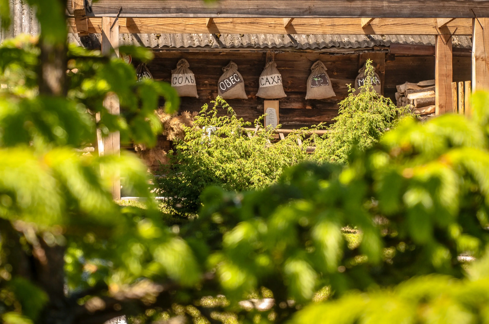 Гостевой дом Усадьба Беловежское Поместье