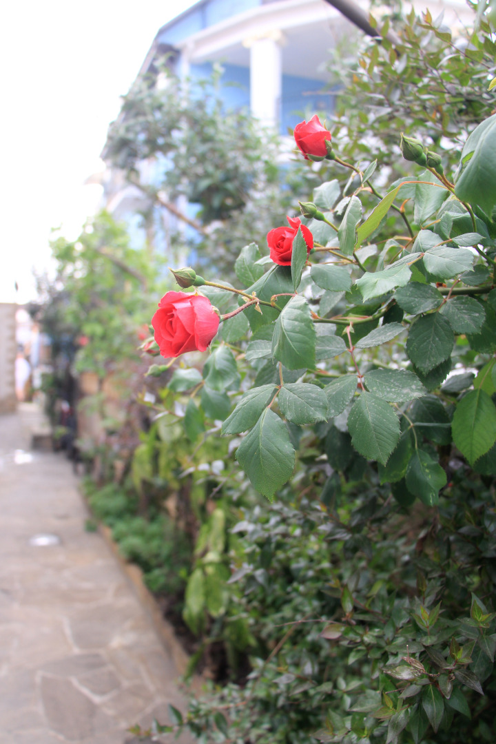 Гостевой дом Башня