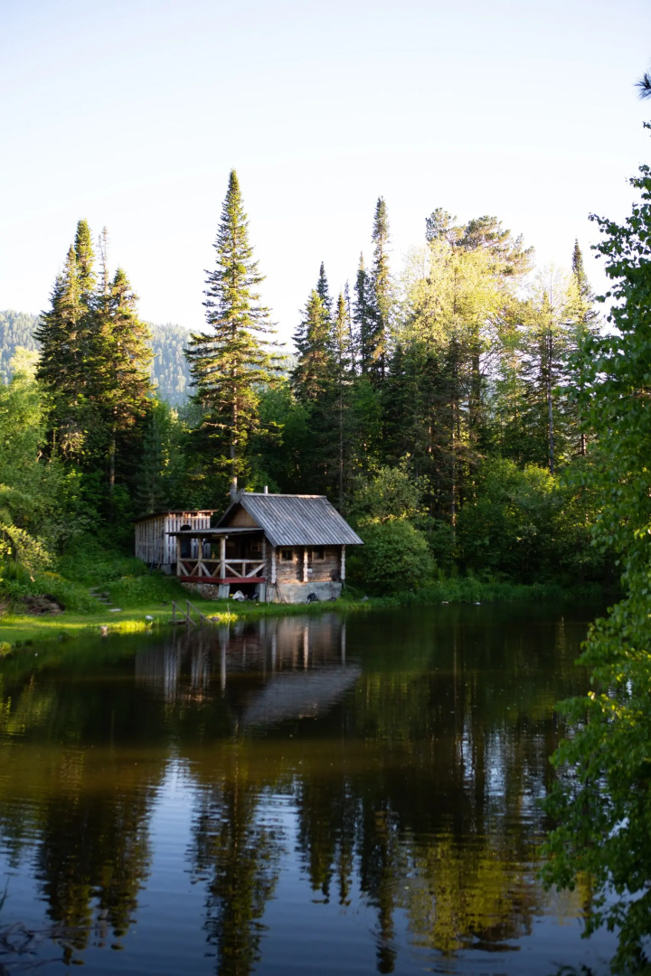 Шале Алтай Forest Glamp
