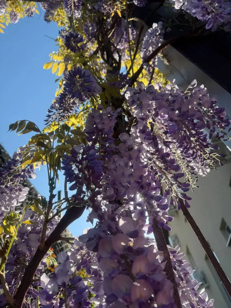 Гостевой дом Валенсия