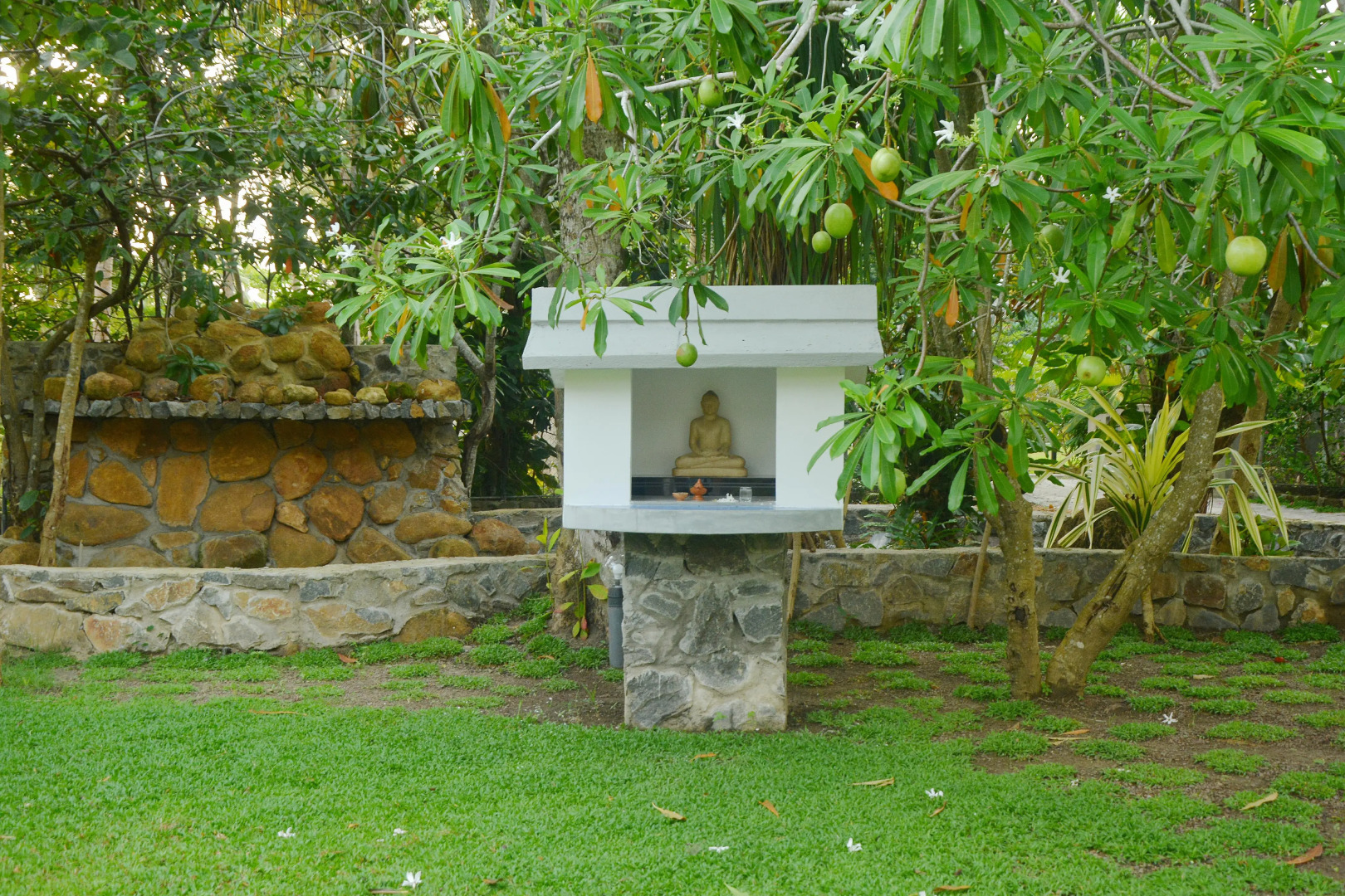 Гостевой Дом Nature Paradise Villas