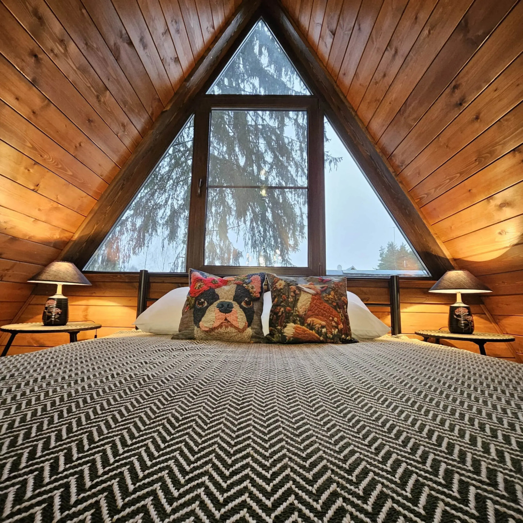 Частный дом темный А-фрейм