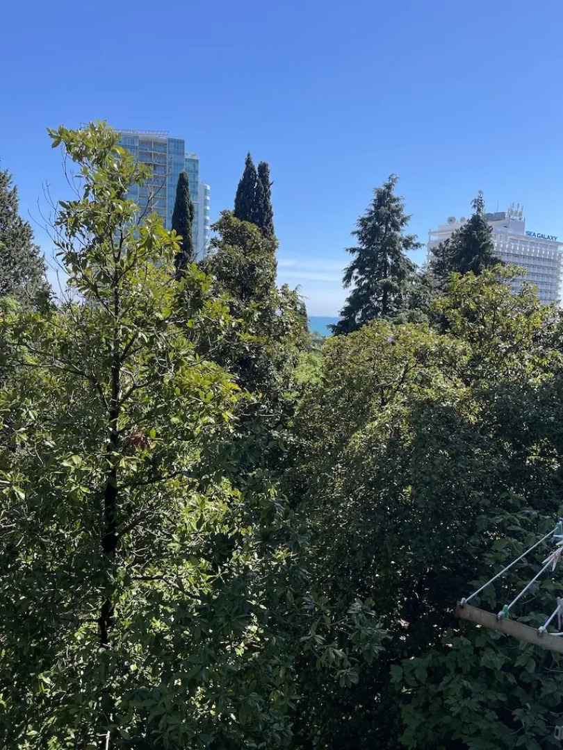 Апартаменты Светлана-Центр у моря с видом на сад магнолий