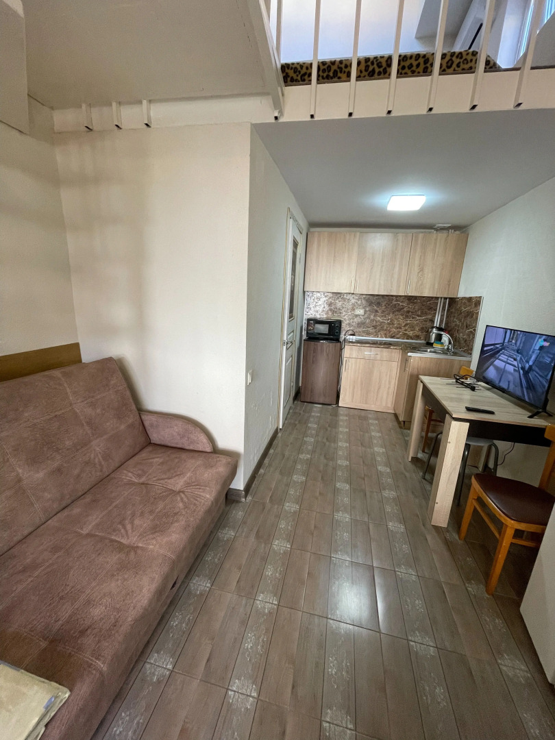 Апартаменты И сон И дом Буачидзе 2/12