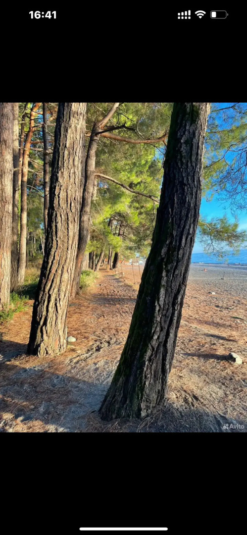 Гостевой дом Леон 10