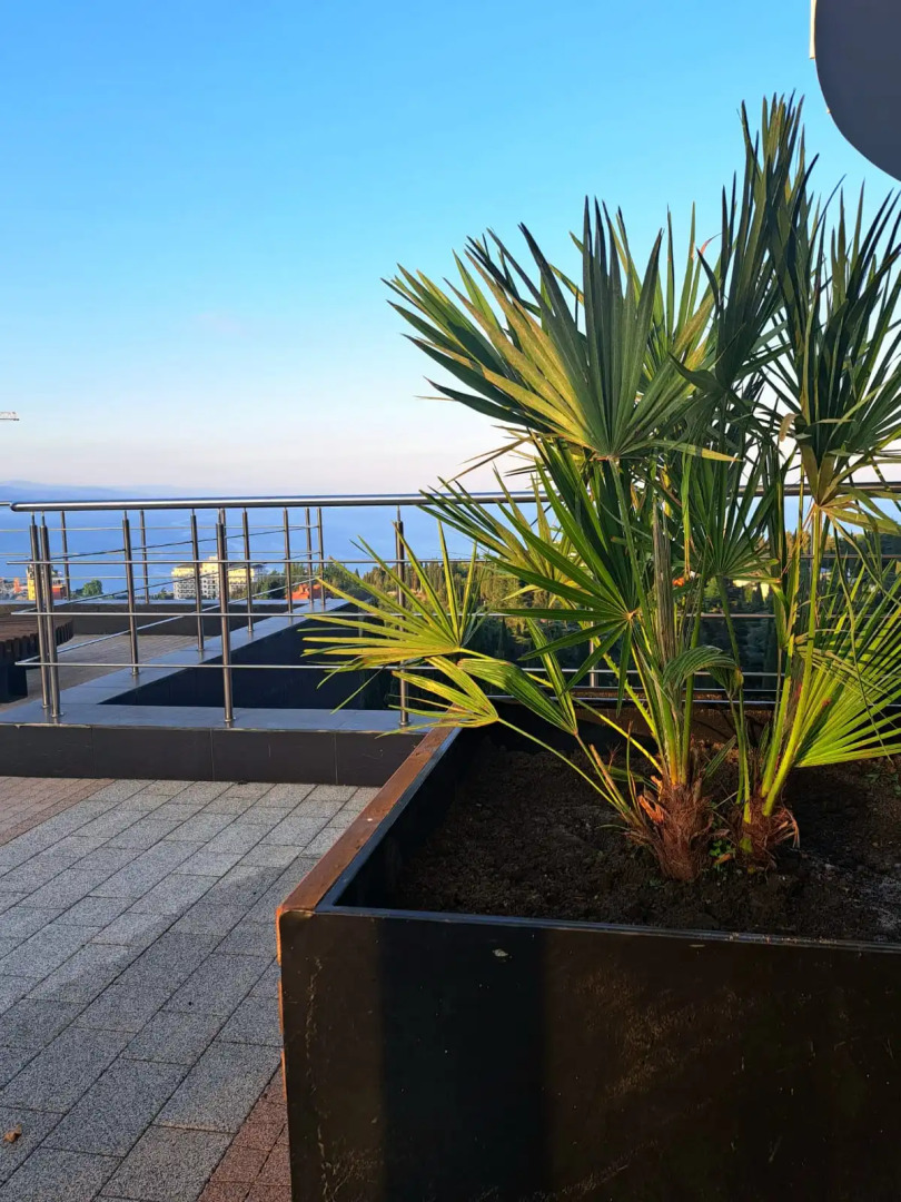 Апартаменты в Алуште (500 метров до моря) Морская Звезда