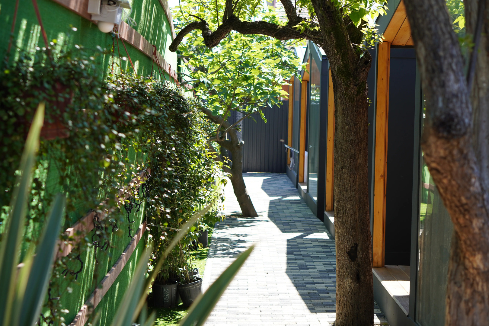 Меблированные комнаты Ecosuite Family